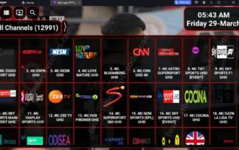 mac portal iptv telegram stbemu code 2024 mac portal iptv