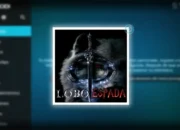 How to Install Lobo Espada Addon in Kodi [TV]